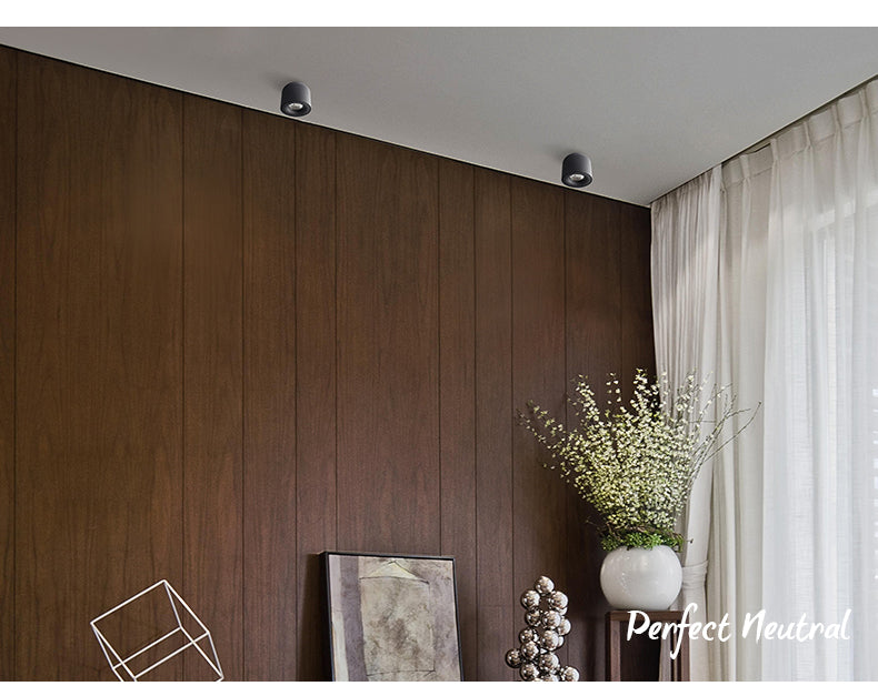 Sere - LED Down Spotlight