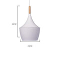 Jule - Modern Iron Pendant Light